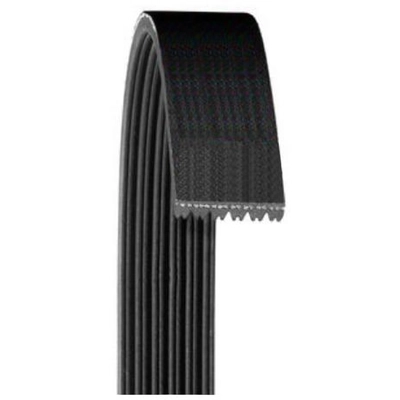 Serpentine Belt by DAYCO - 6050612 01